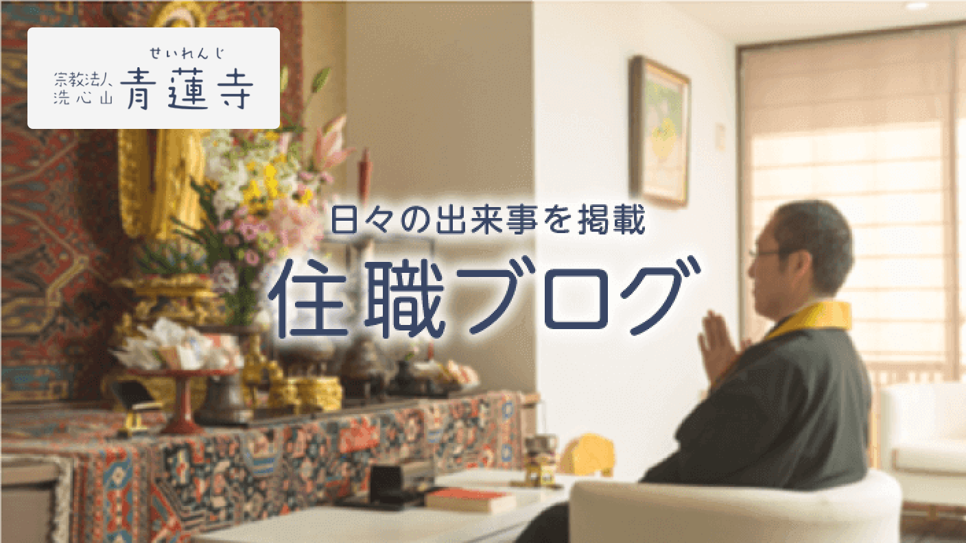 せいれんじの徒然ブログ　住職・副住職の感じたことを、つれづれと綴ってお参ります。