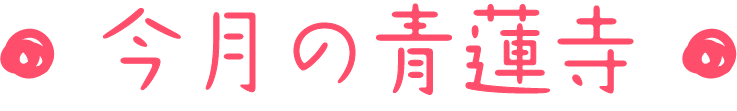 今月の青蓮寺