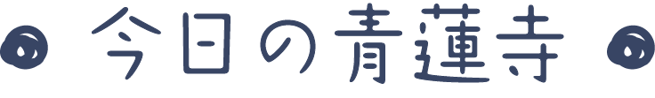 今日の青蓮寺
